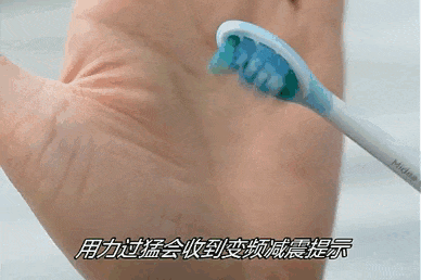 5.gif 5.gif