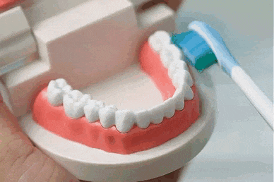 6.gif 6.gif