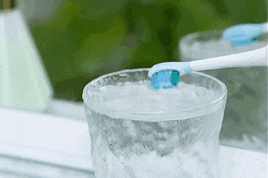 11.gif 11.gif